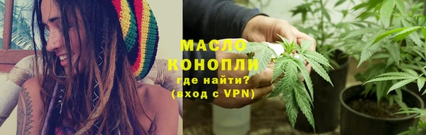 шишки Верея