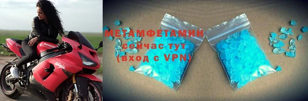 шишки Верея