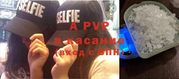 шишки Верея