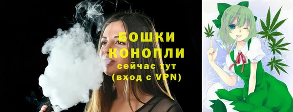 шишки Верея