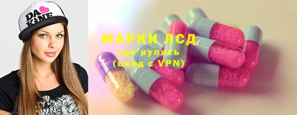 шишки Верея