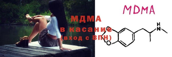 шишки Верея