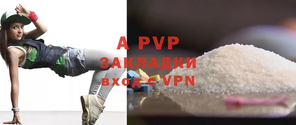 шишки Верея