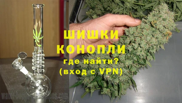 шишки Верея