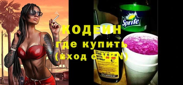 шишки Верея