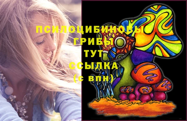 шишки Верея