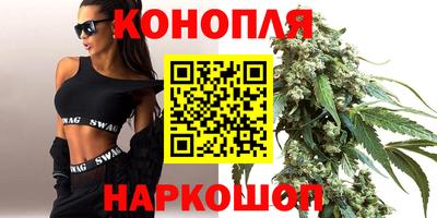 стаф Нальчик