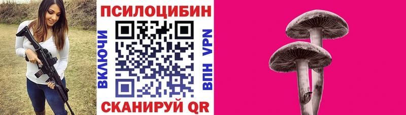 Псилоцибиновые грибы Psilocybine cubensis Рузаевка