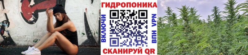 Бошки Шишки конопля Рузаевка