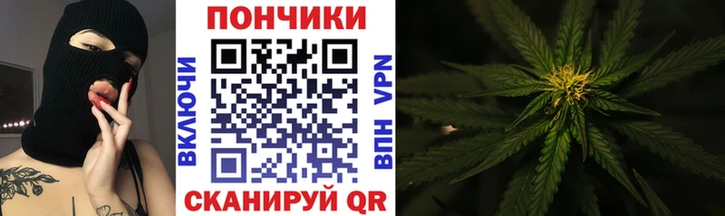 Конопля ГИДРОПОН  купить наркотики цена  Рузаевка 